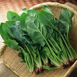 Шпинат — свежая зелень