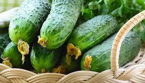 Кукуруза для попкорна