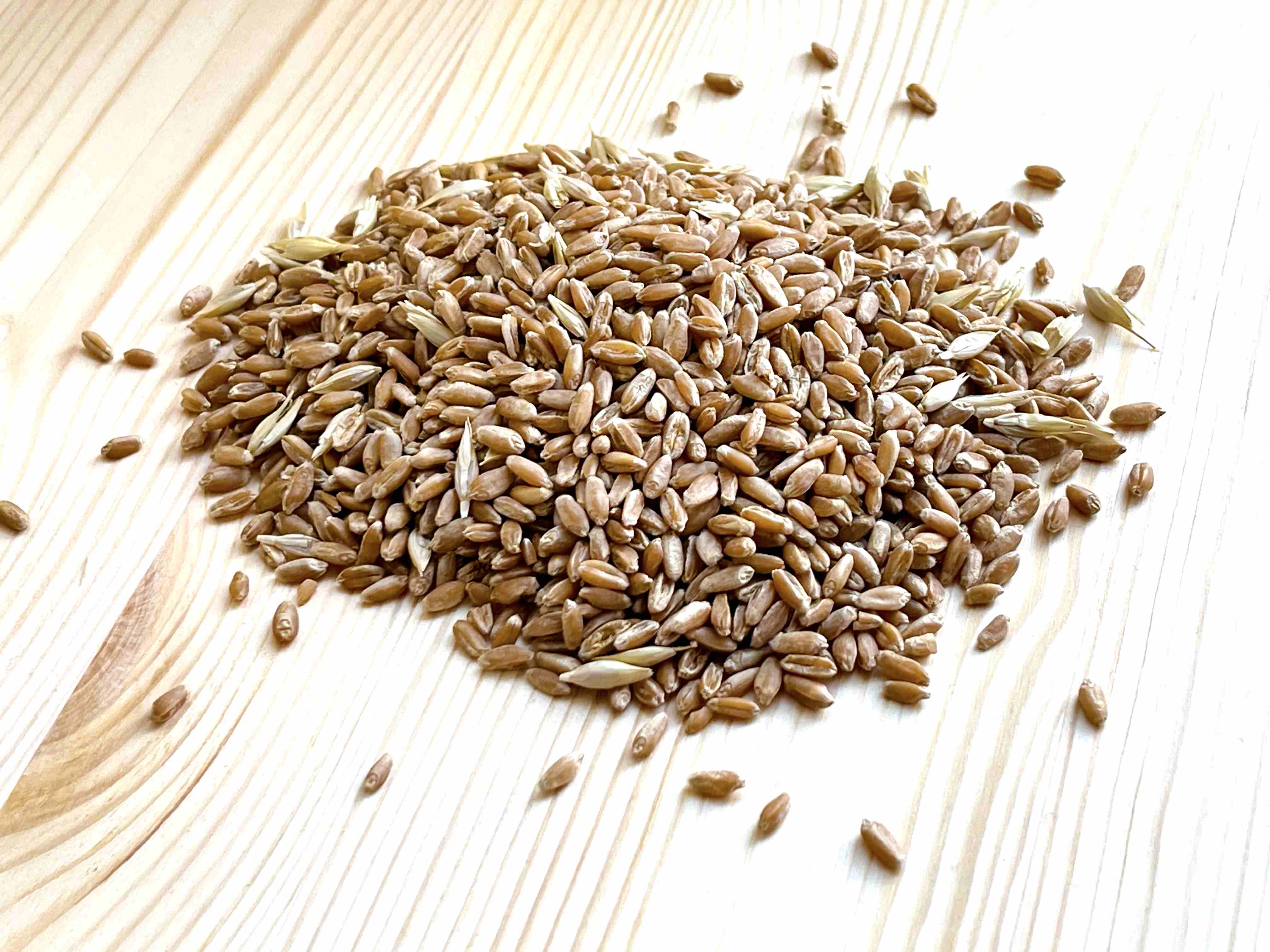 Пшеница для проращивания (зерно), 500 гр.