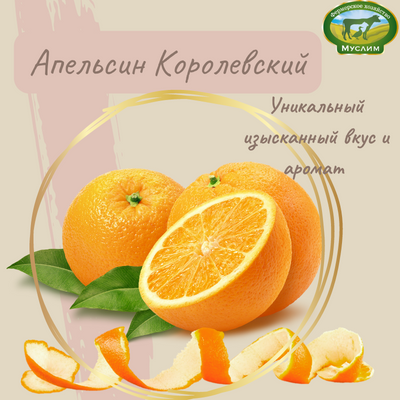 Апельсин Королевский